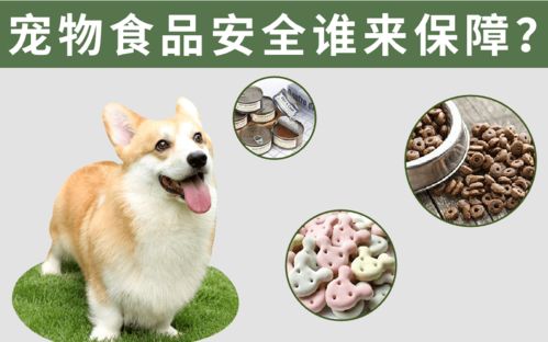 宠物食品安全谁来保障？