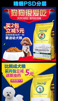 宠物用品淘宝店招设计模板——打造吸睛宠物食品店铺