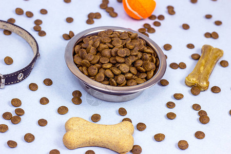 狗吃骨头与宠物食品 科学的饲养选择