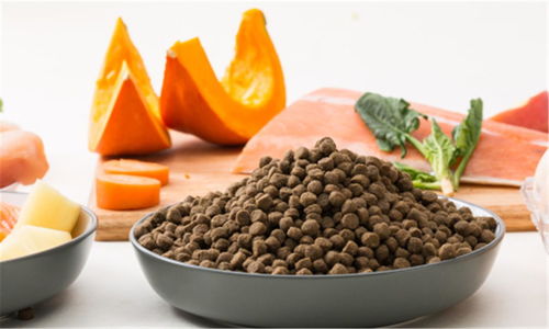 豆柴完成数千万元A轮融资，金鼎资本领投，加速宠物食品市场布局