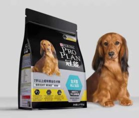 雀巢狗粮新品登陆中国，开启宠物食品市场新篇章
